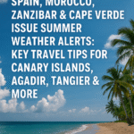 Air India Flight to Washington, D.C. Grounded in Vienna: Know the Latest Updates