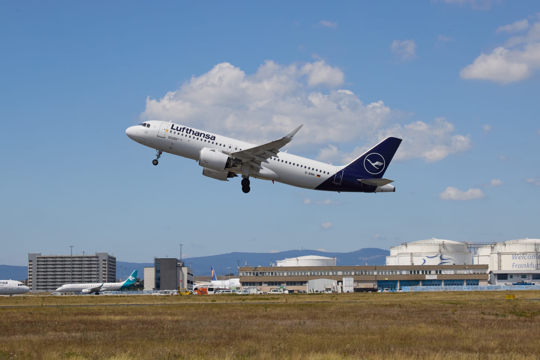 Lufthansa Soars Above Rivals in 2025